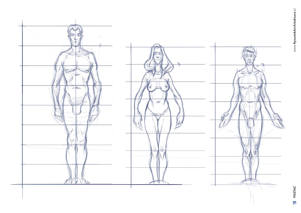 proporcje ciała do rysunku