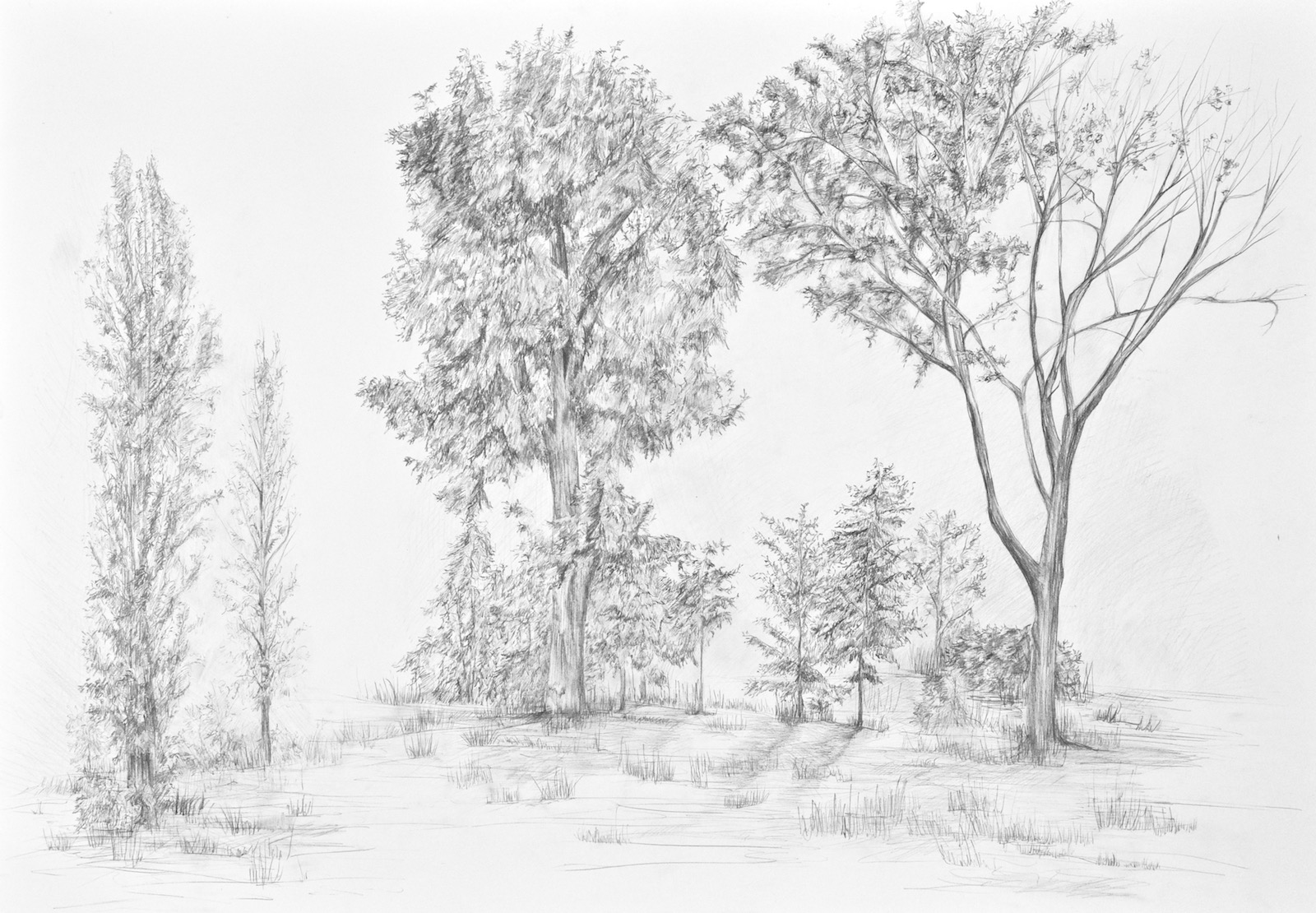 Przykładowa praca z portfolio kandydata - ołówek - szkoła RA