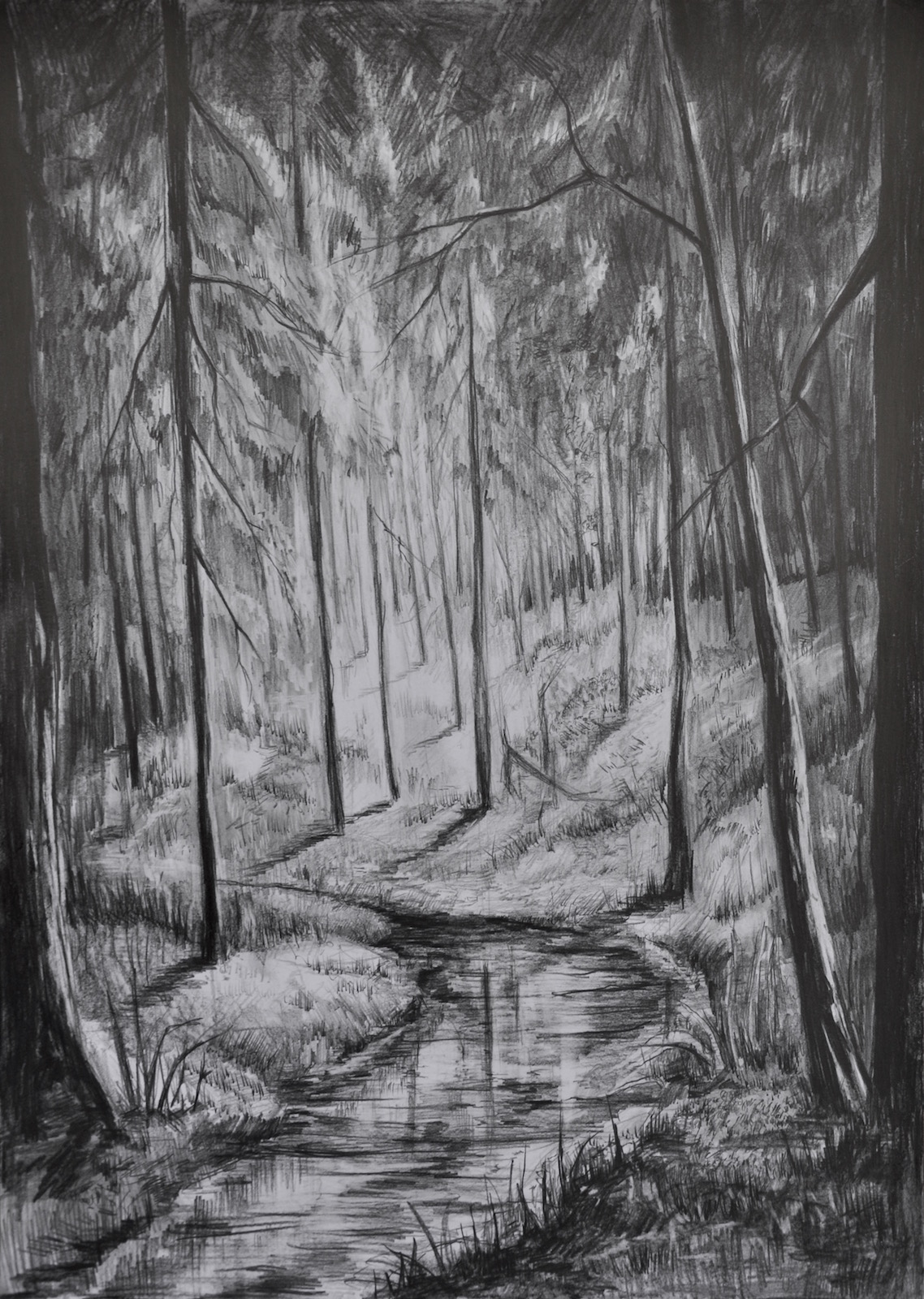 Przykładowa praca z portfolio kandydata - pejzaż ołówkiem - nauka rysowania w RA