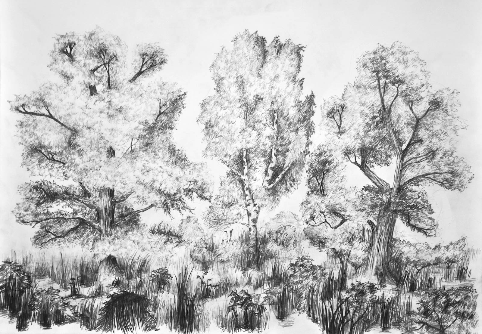 Przykładowa praca z portfolio kandydata - ołówek - akademia rysunku RysunekArchitektura