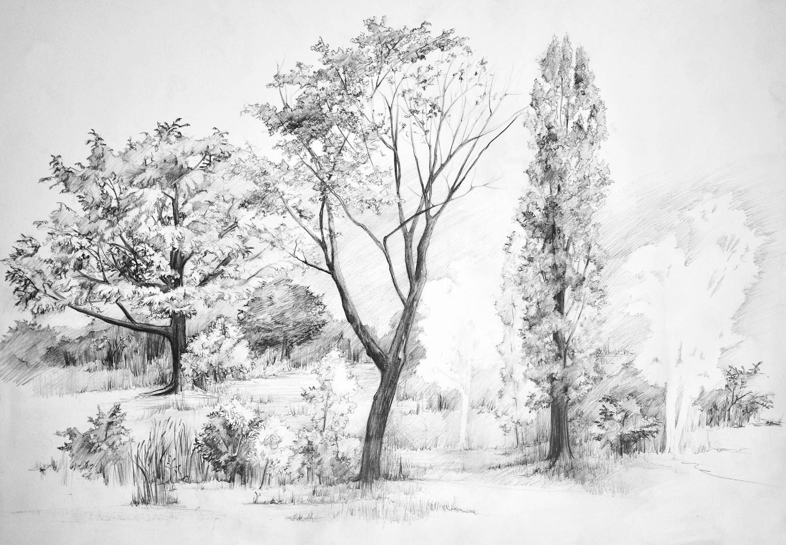 Przykładowa praca z portfolio kandydata - zieleń - szkoła rysunku Poznań RysunekArchitektura