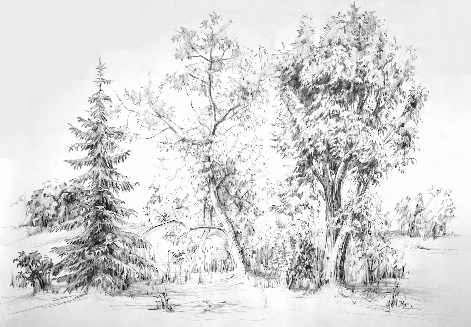 Przykładowa praca z portfolio kandydata - pejzaż ołówkiem - kurs rysowania w RysunekArchitektura