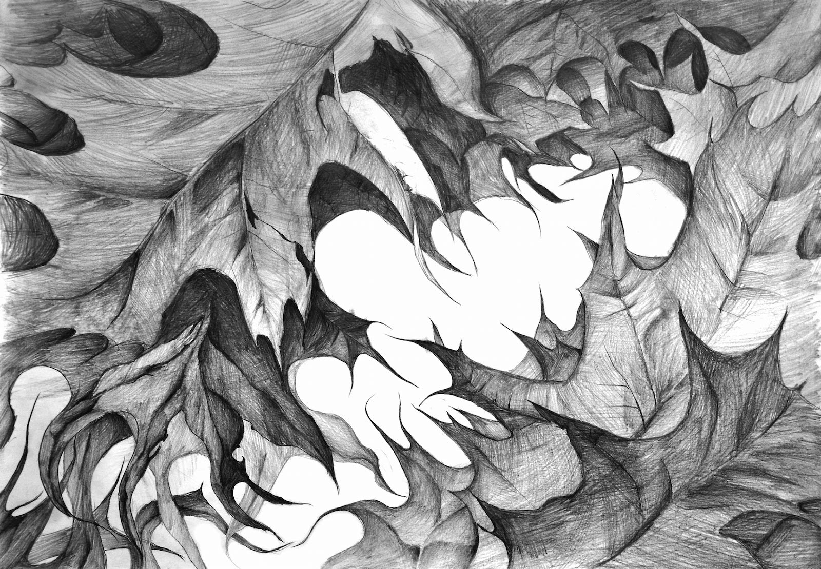 Martwa natura - studium liścia - praca wykonana przez ucznia kursu przygotowawczego w RysunekArchitektura