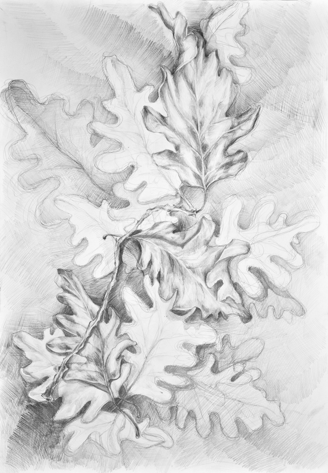 Przykładowa praca z portfolio kandydata - ołówek - kurs rysowania w RysunekArchitektura