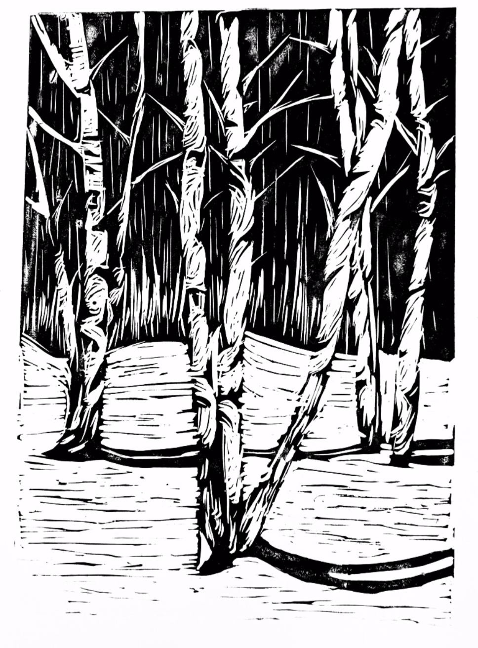 Przykładowa praca z portfolio kandydata - grafika - RysunekArchitektura