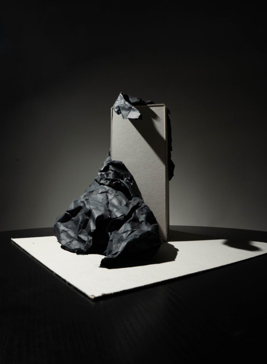 Makieta - makieta koncepcyjna - praca wykonana w RysunekArchitektura