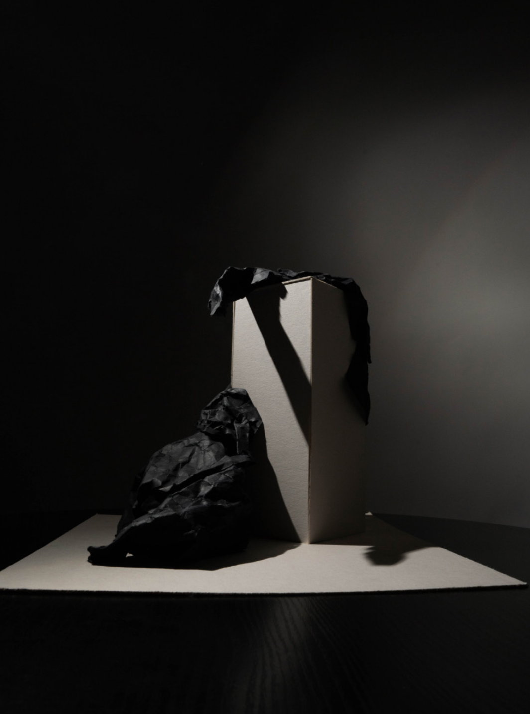 Makieta - makieta koncepcyjna - praca wykonana w szkole rysunku RysunekArchitektura